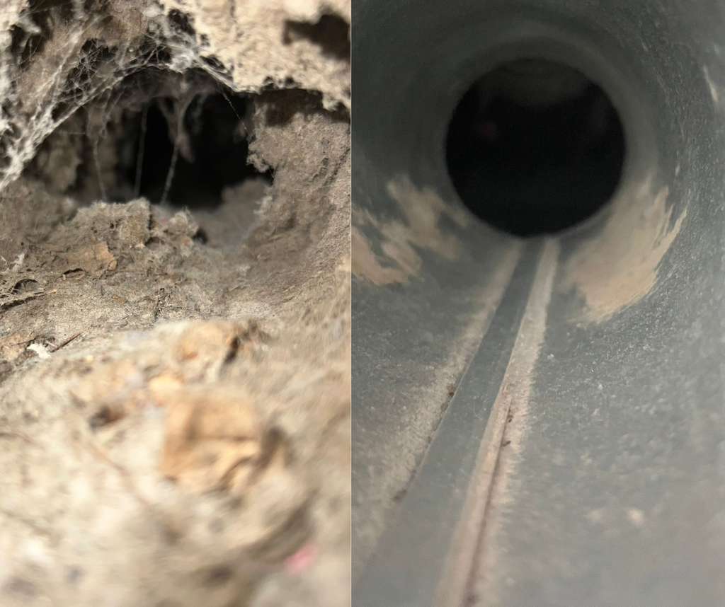 Before and after duct cleaning